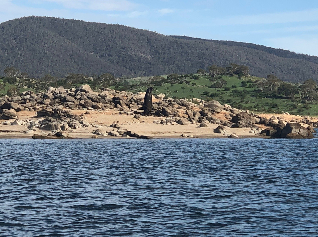 Banjo Paterson Inn主图