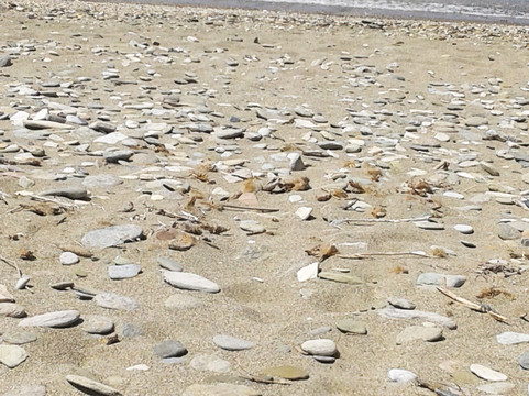 Paralia Pisolimnionas-安德罗斯必去景点