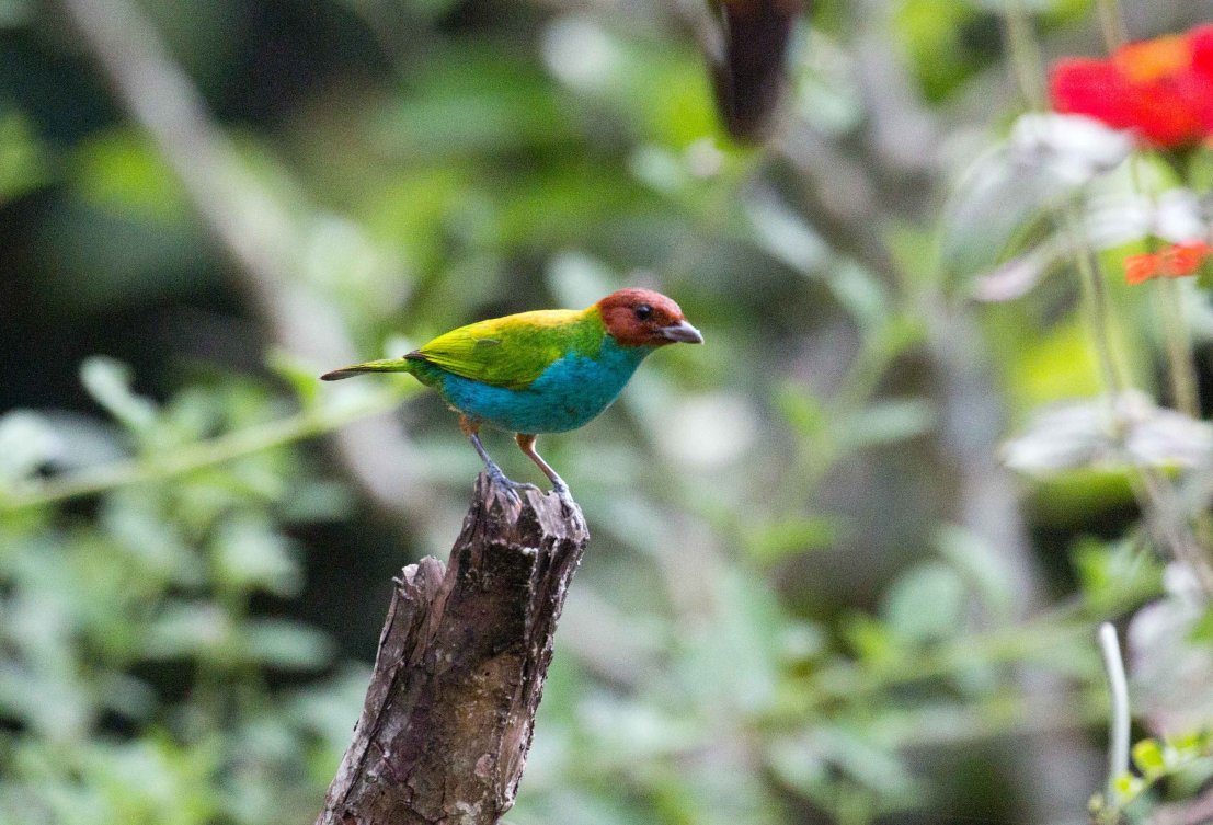 Coliving la Boira-浴室