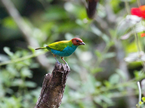 Coliving la Boira主图