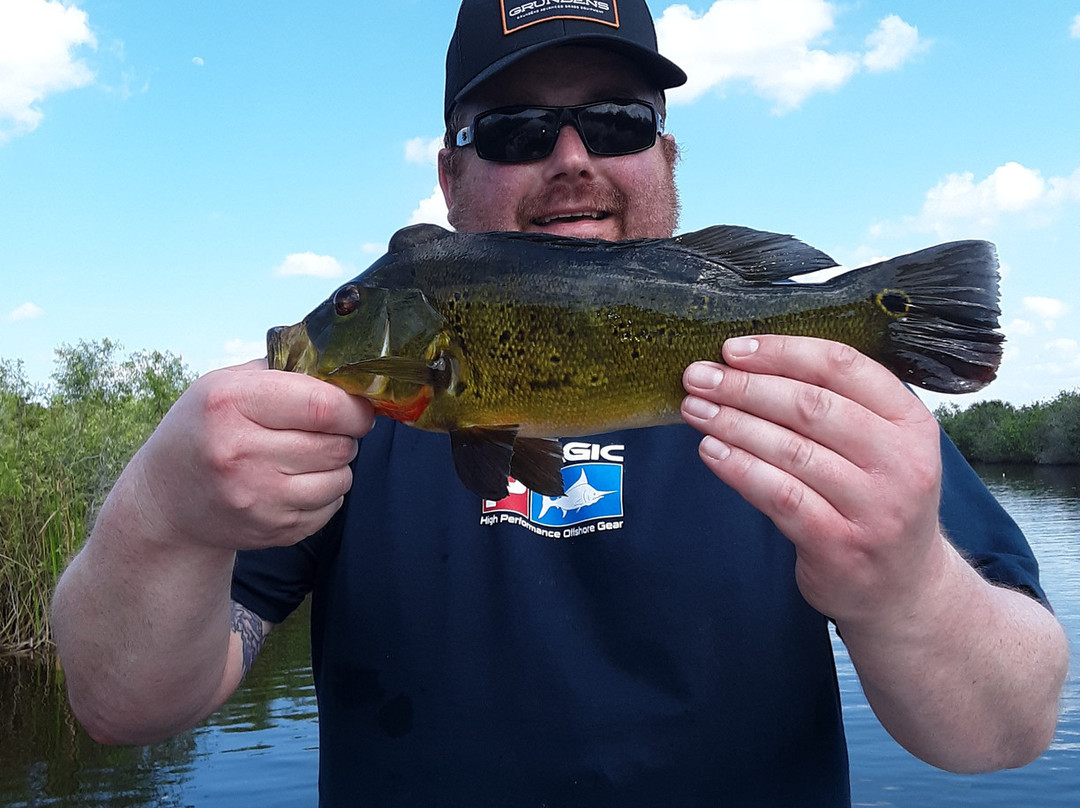 Naples Florida Fishing Charters-那不勒斯必去景点