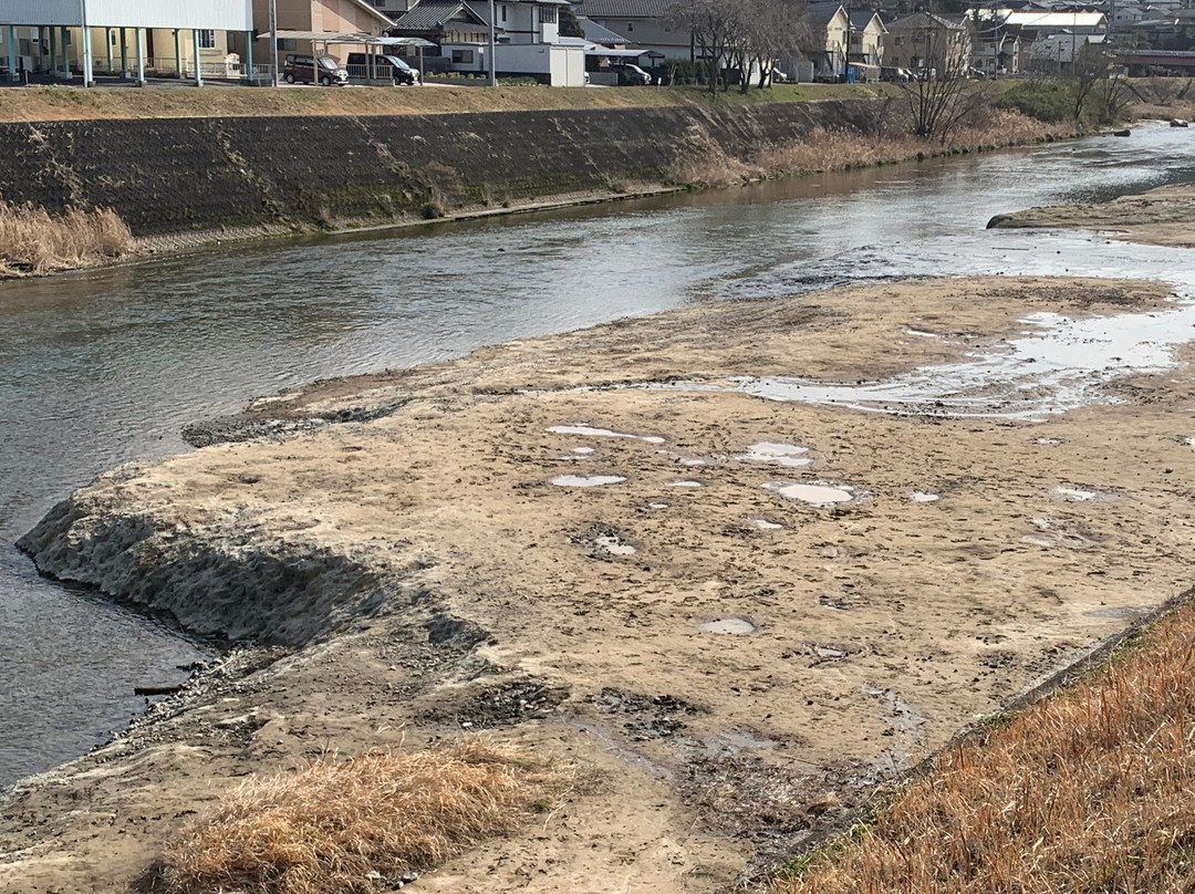 Mizunami Kaseki Yagai Gakusyuchi景点图片