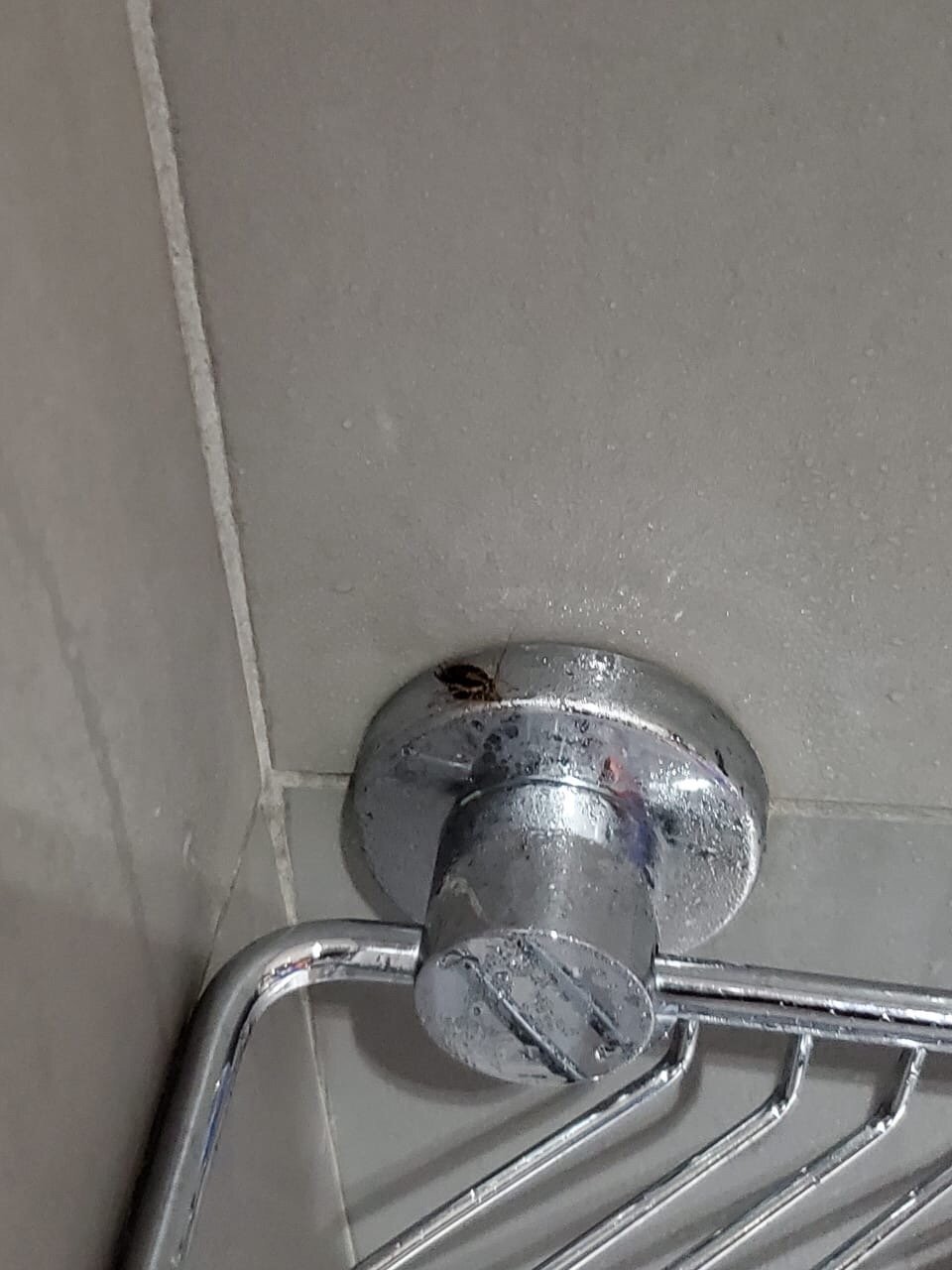 Garden Court Milpark-官方