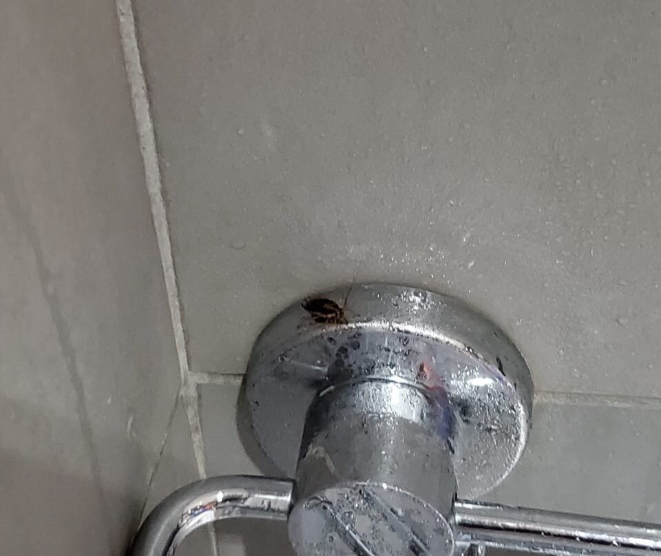 Garden Court Milpark主图