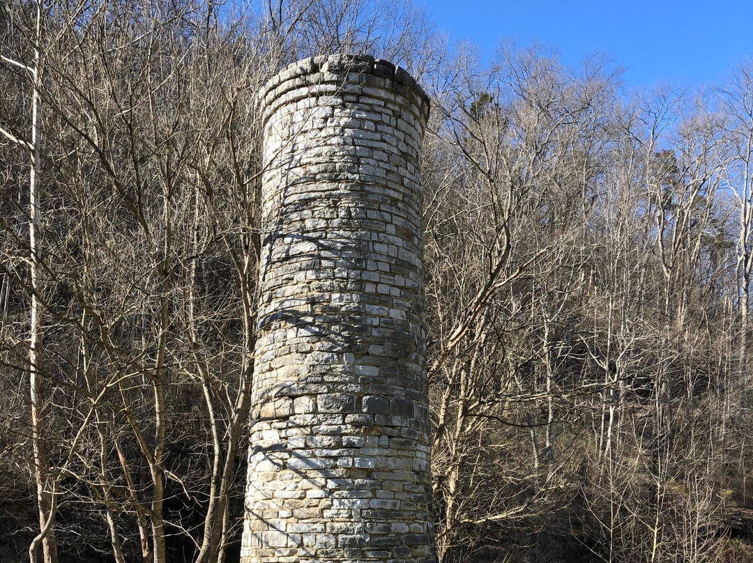 Cove Springs Park景点图片