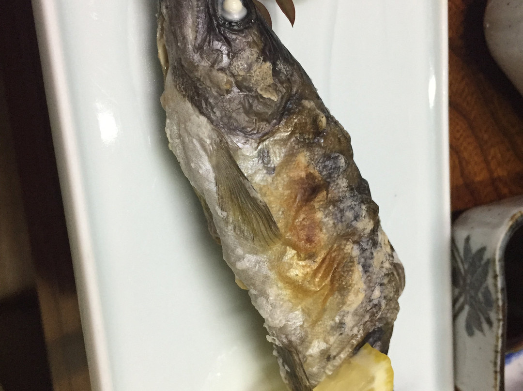 Ichifusa Kanko Hotel主图