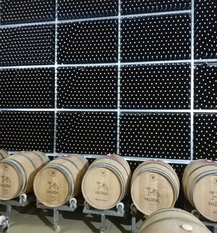 Bodega Valdigal-Toro必去景点