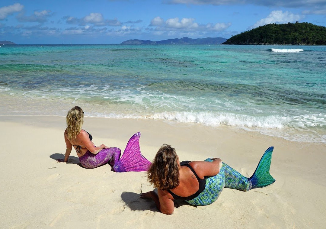 Mermaid Swim VI-克鲁兹湾必去景点