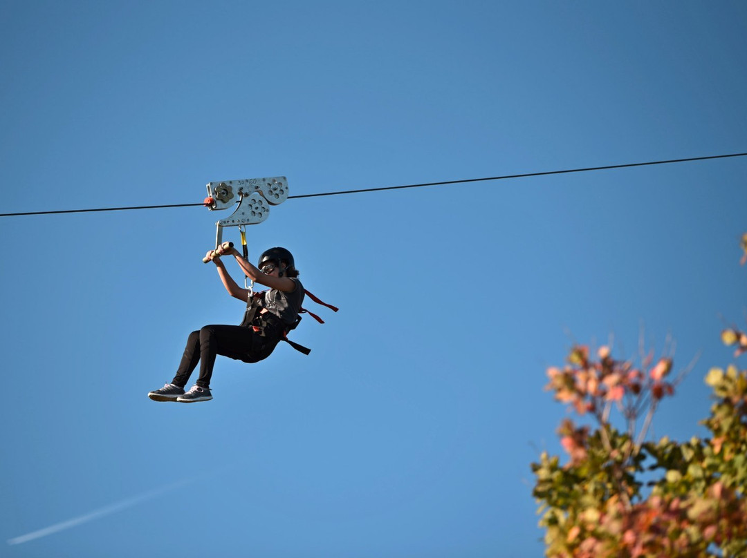 Zip Line景点图片