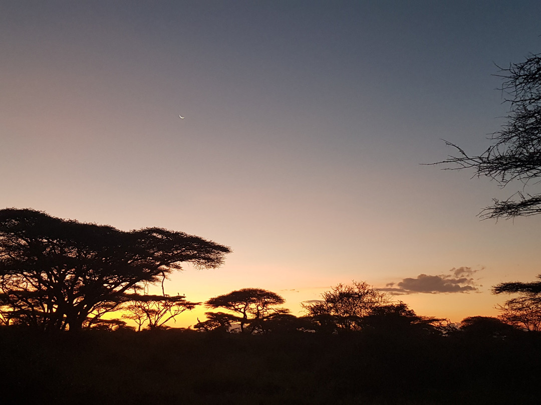 Real Masai Safari-内罗毕必去景点