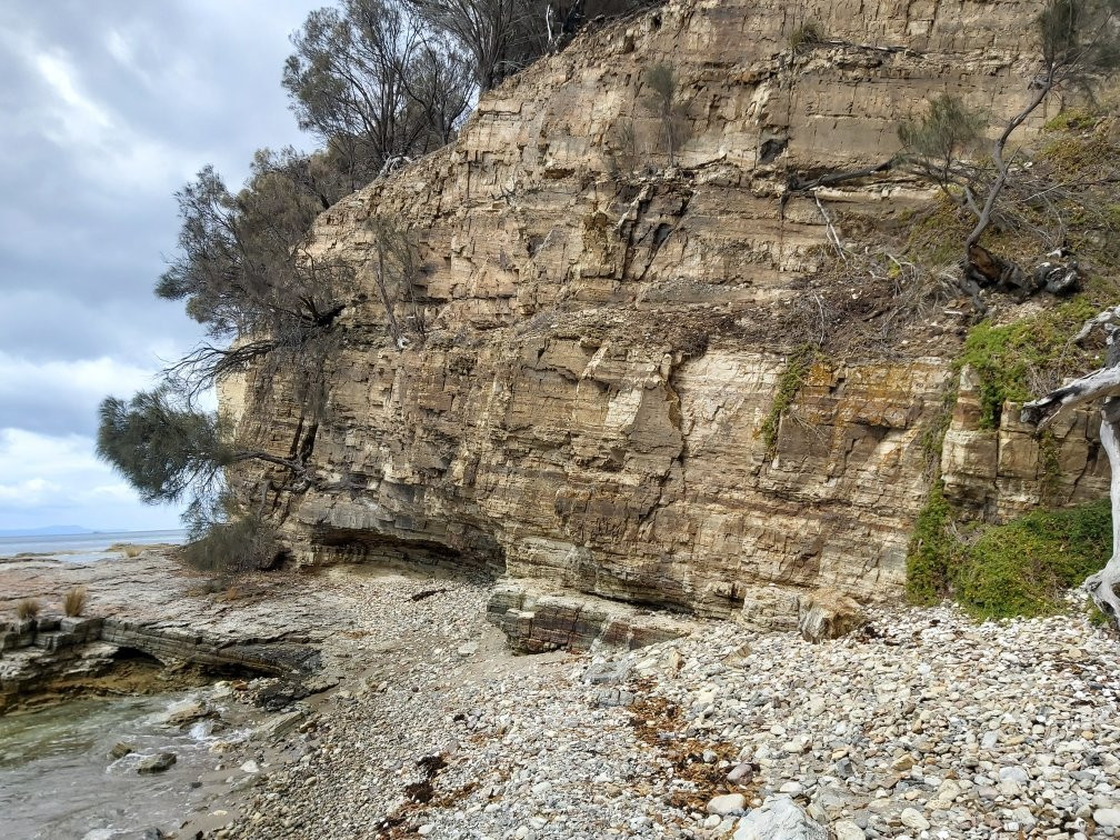 Fossil Cove景点图片