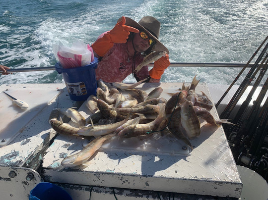 Sea Trek Fishing-迈尔斯堡海滩必去景点