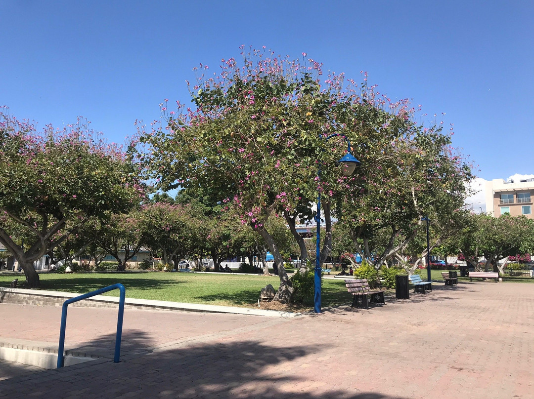 解放公园-金斯敦必去景点