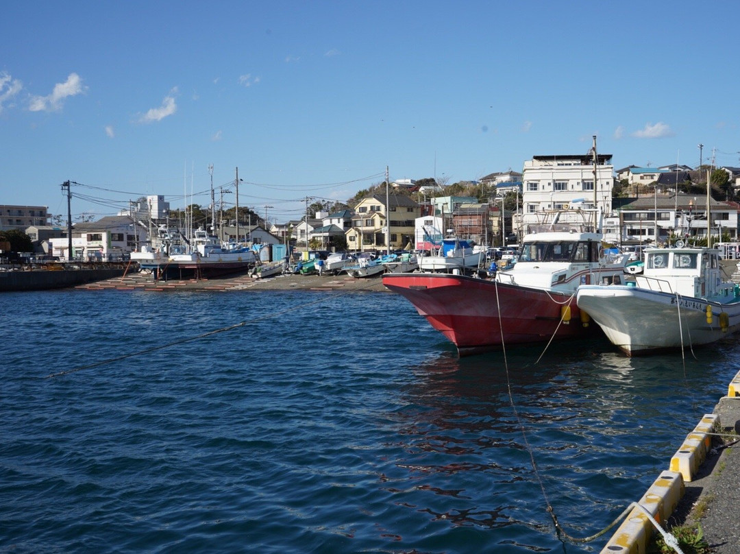 Misaki Port-三浦市必去景点