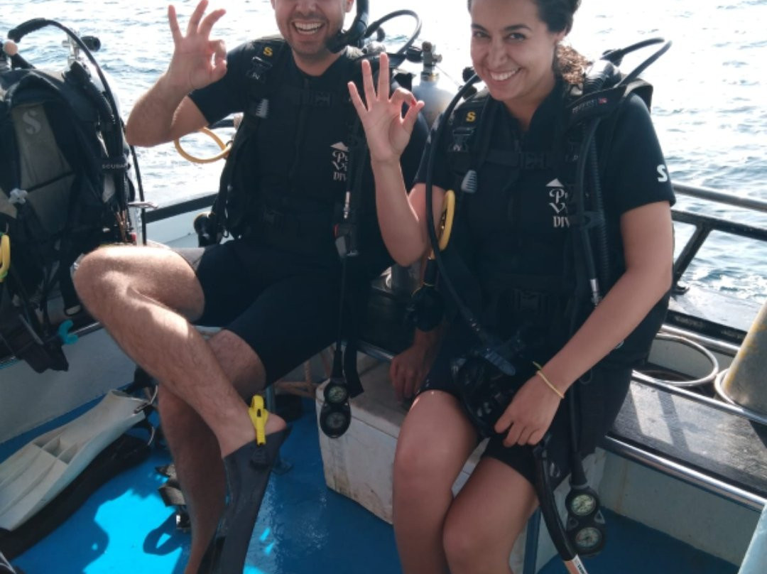 Pura Vida Diving-大皮皮岛必去景点