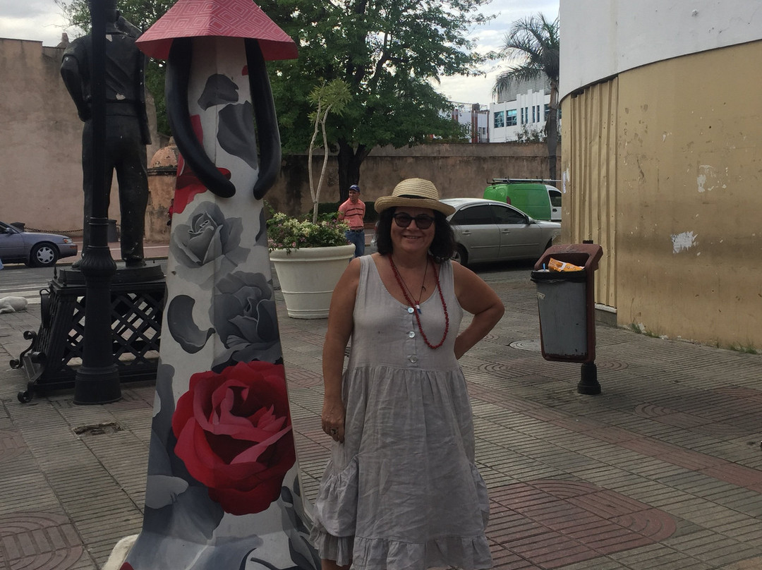 Calle El Conde-圣多明哥必去景点