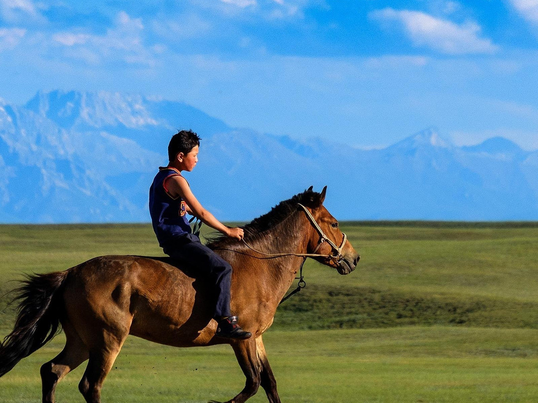 Wild Stride-乌兰巴托必去景点