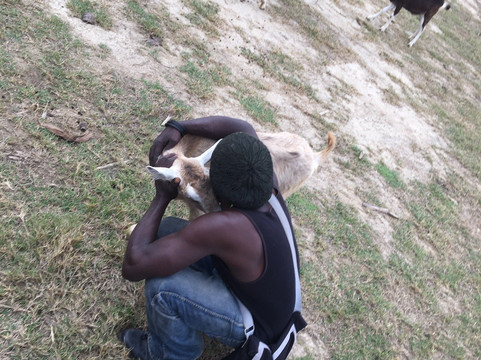 Ride Barbados-Saint Andrew Parish必去景点