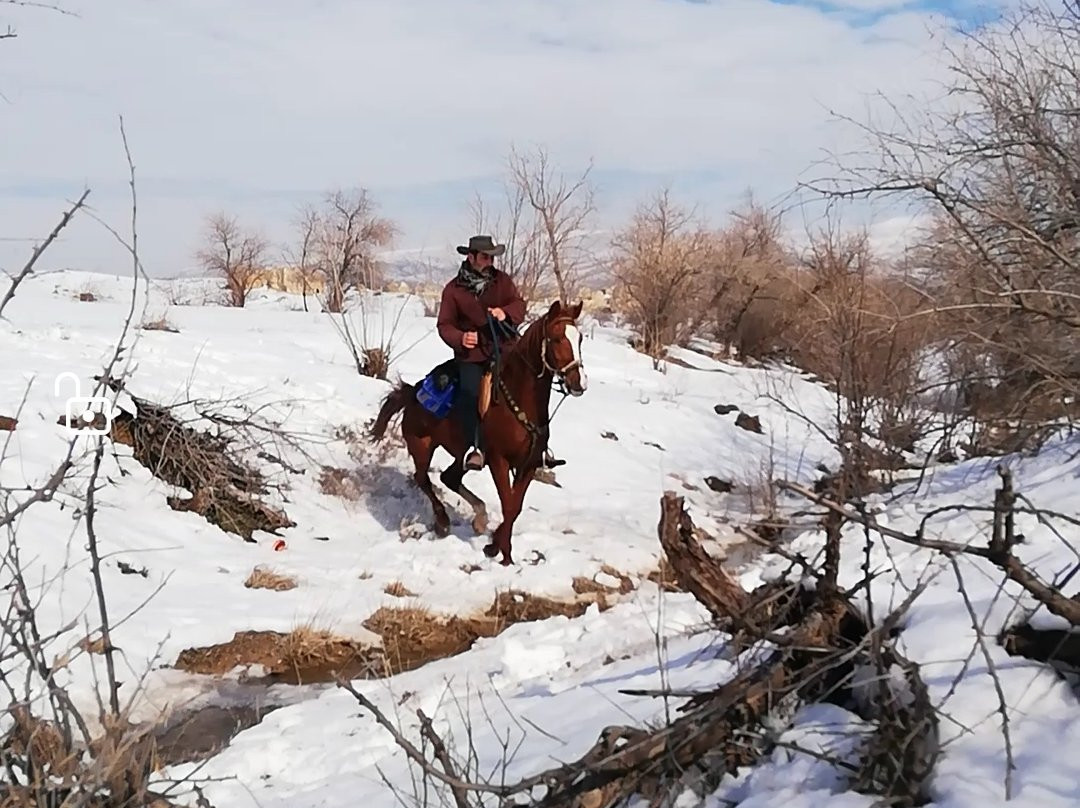 Korukcu At Ciftligi-阿瓦诺斯必去景点