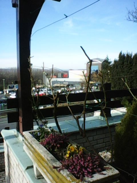 Rosengarten Hotel-浴室