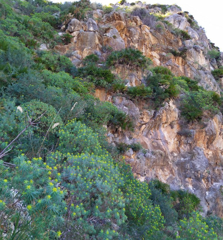 Riserva Naturale dello Zingaro景点图片