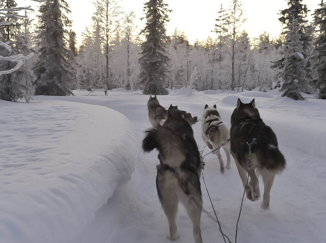 Rami's Huskies-Kittilä必去景点