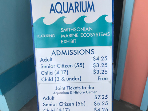 St. Lucie County Aquarium - Smithsonian Marine Ecosystems Exhibit-匹尔斯堡必去景点