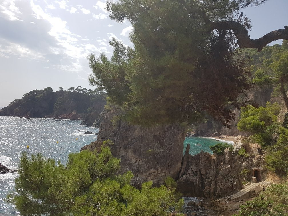 Cala El Golfet景点图片