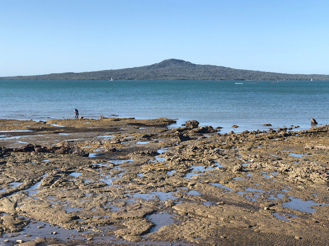 Point To Point Walkway-St Heliers必去景点