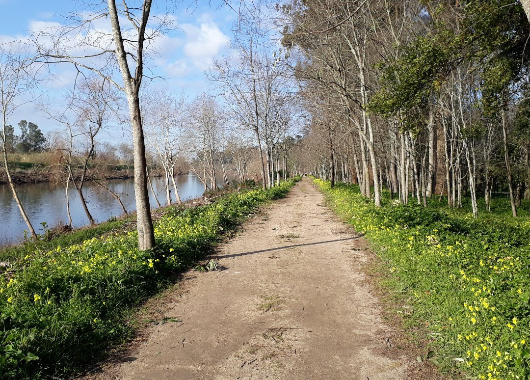 Choupal National Forest-科英布拉区必去景点