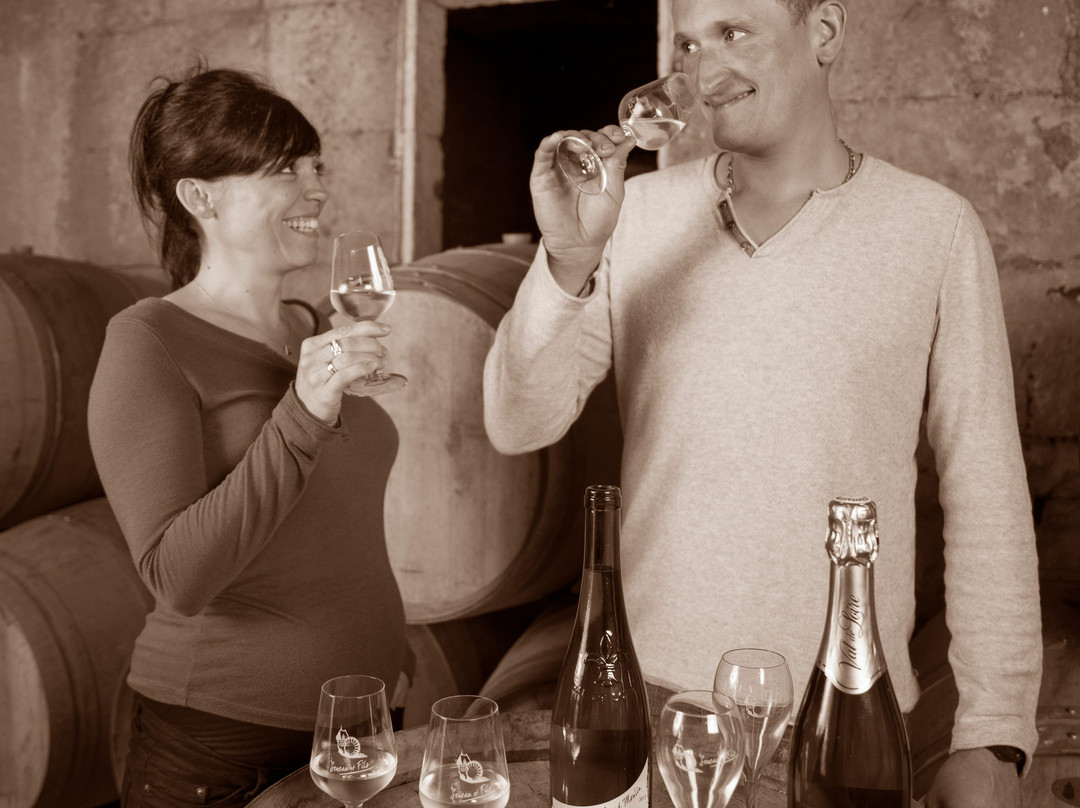 Domaine du Grand Moulin Seneau et Fils景点图片