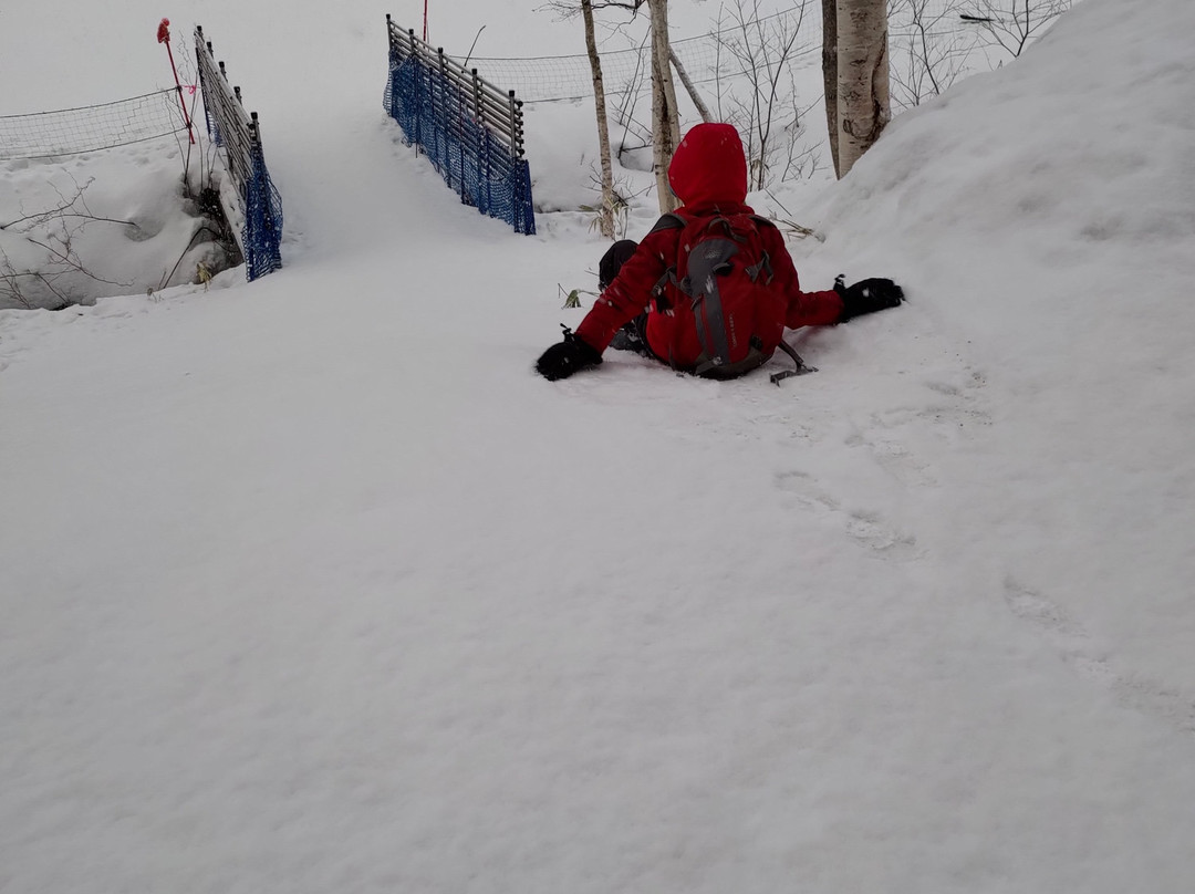 Niseko Tokyu Grand HIRAFU景点图片