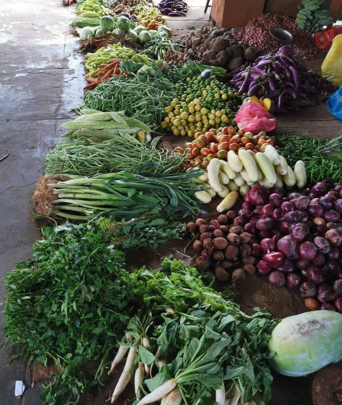 Jaffna Market-贾夫纳必去景点