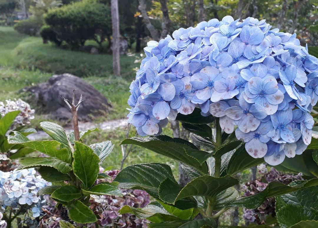 Floresta Nacional de Passa Quatro-Passa Quatro必去景点