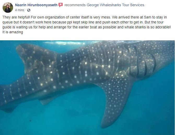 George Whalesharks Tour Services-奥斯洛布必去景点