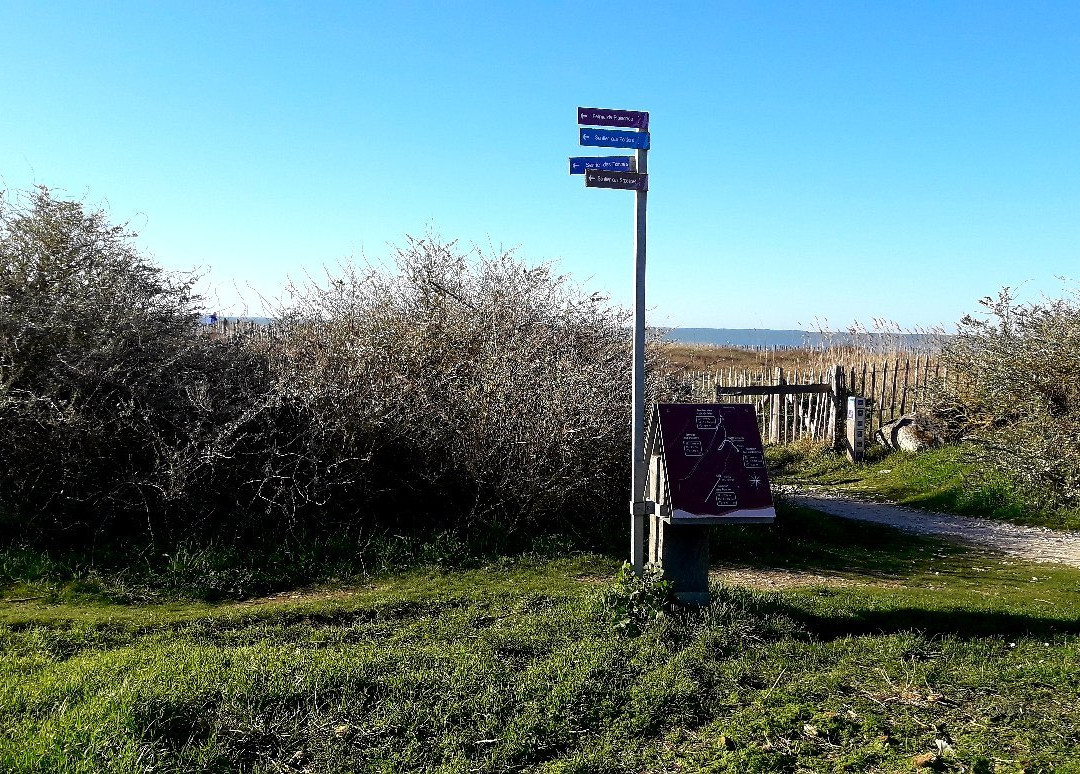 Réserve Naturelle Nationale Moëze-Oléron-Saint Froult必去景点