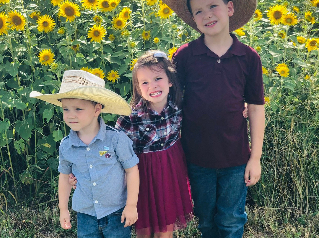 Brookdale Farms-Eureka必去景点