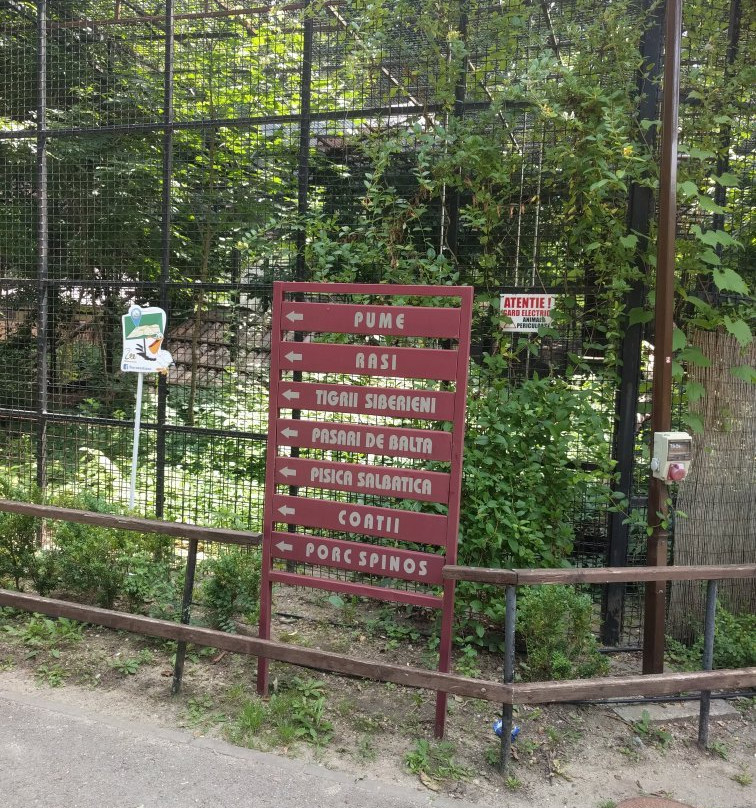 Bucharest Zoo景点图片
