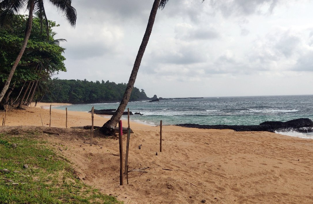 Praia Jale景点图片