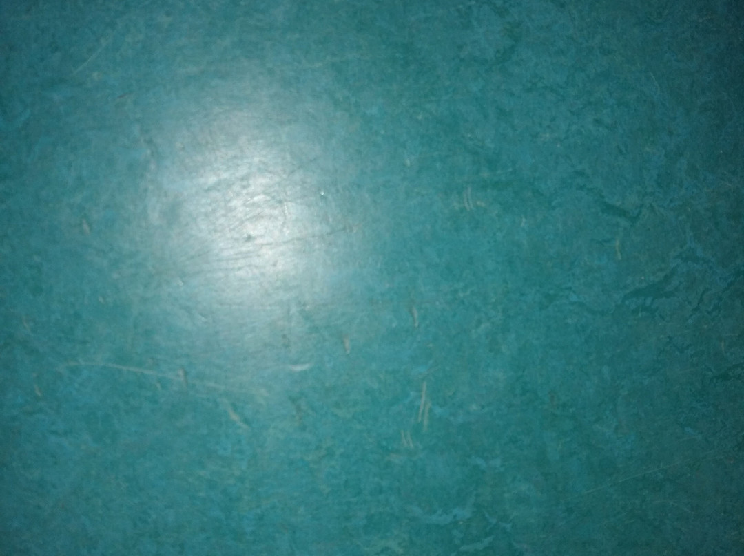 Zwembad Dijnselburg-Zeist必去景点