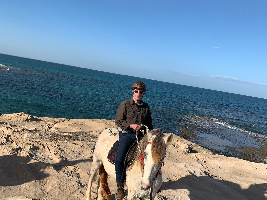 Ranch El-Manar B&B and Stables主图