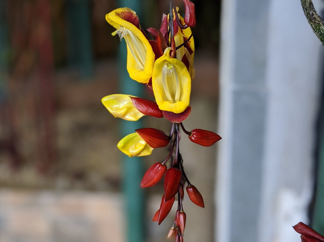 Hostal Casa de Campo Country Inn & Spa主图