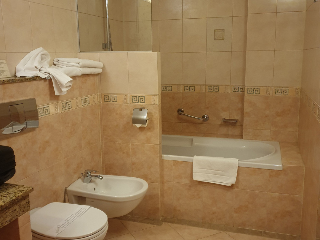 Jawor Spa Hotel主图