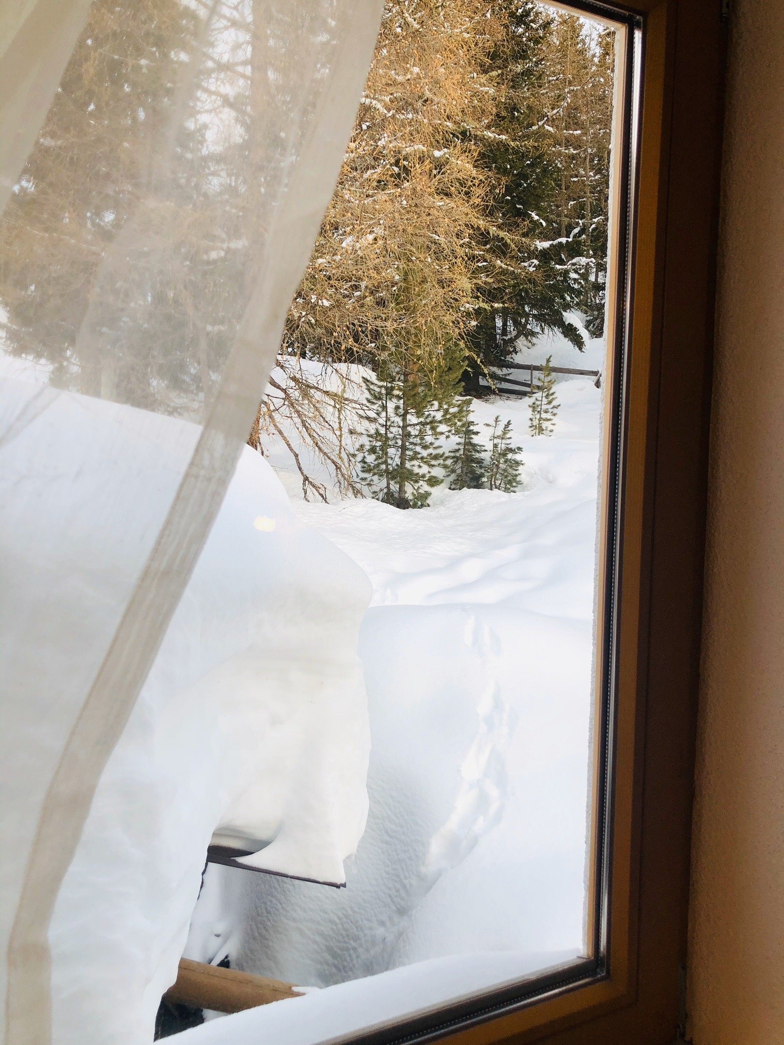 Alpengasthof Sonneck-官方