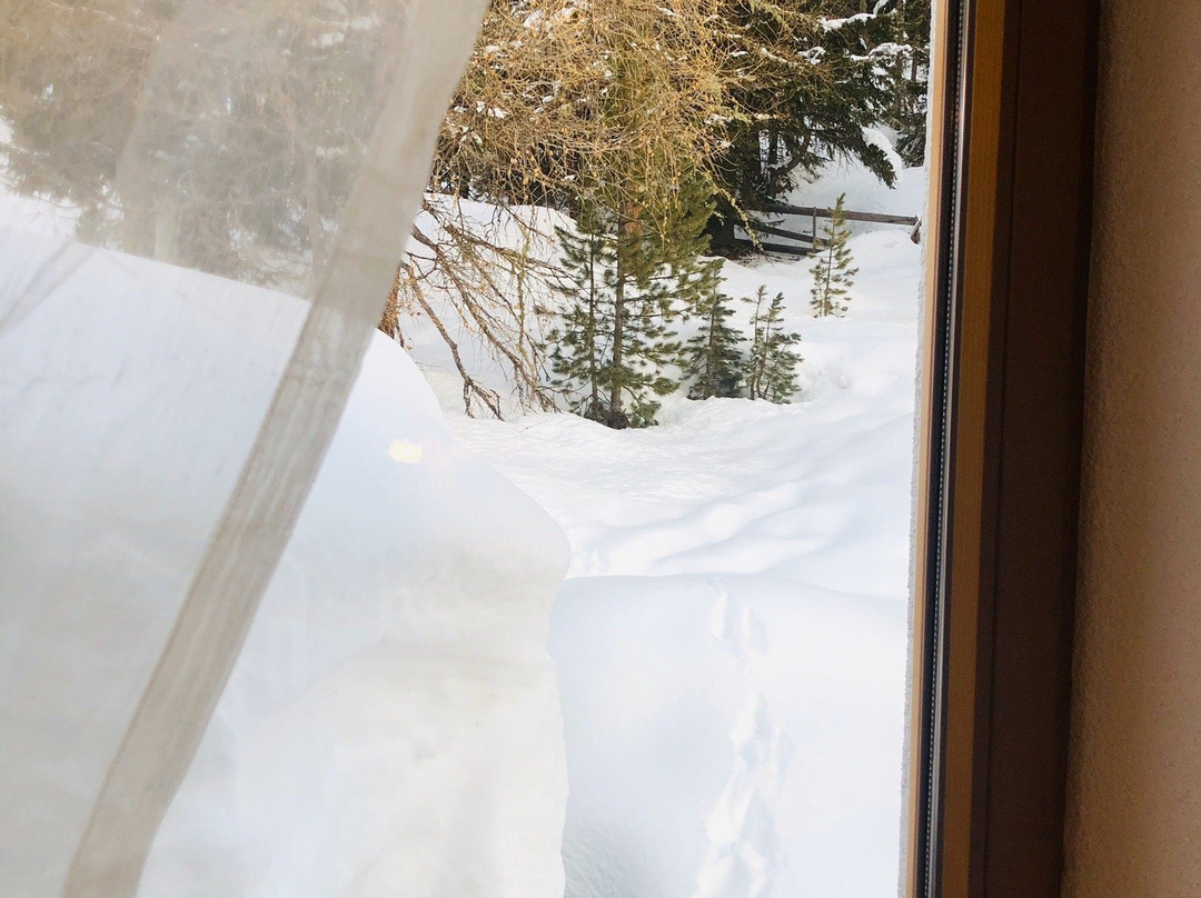 Alpengasthof Sonneck主图