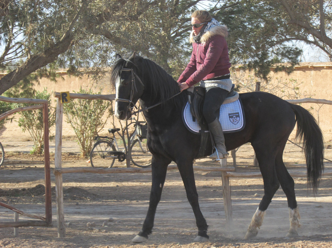 Les écuries de La Roseraie-塔鲁丹特必去景点