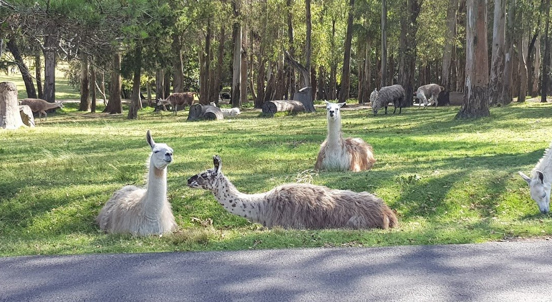 Parque Lecocq-蒙得维的亚必去景点