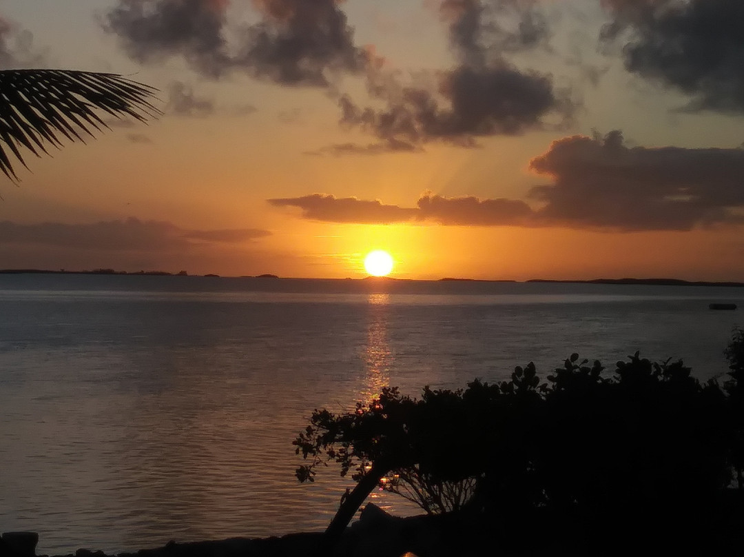 Bonefish Bella Vista