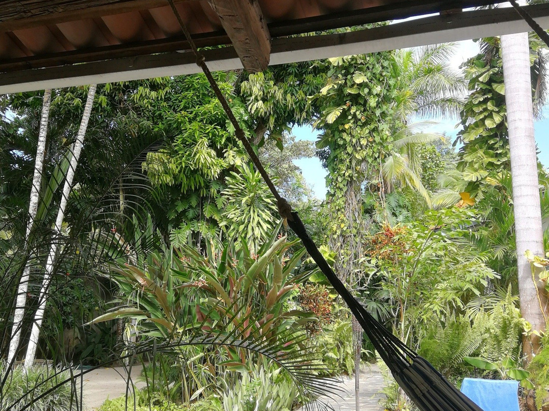 Togo Bed and Breakfast主图