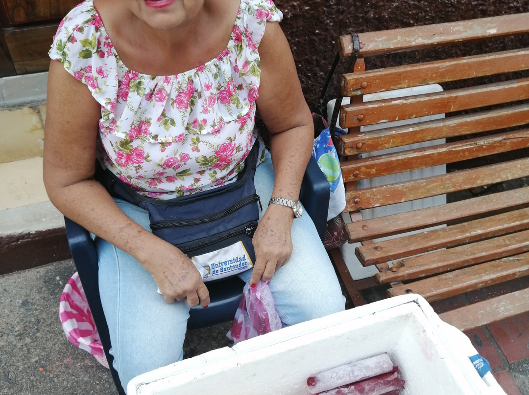 Plaza Alfonso Lopez Valledupar-巴耶杜帕尔必去景点